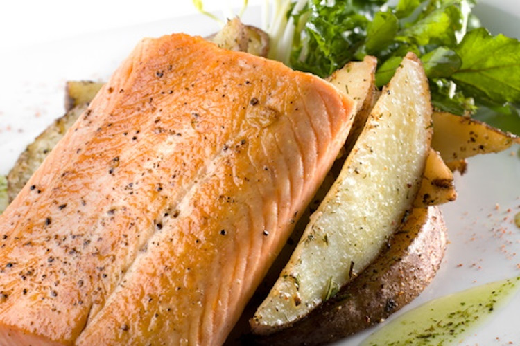 Great salmon recipes